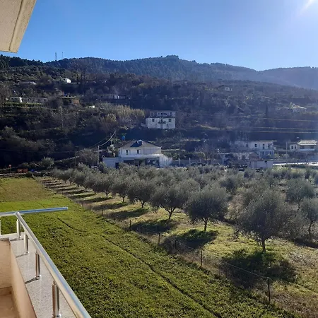 Ari Villa *