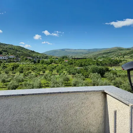 Ari فيلة بيرات