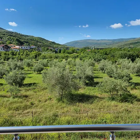 Ari فيلة بيرات